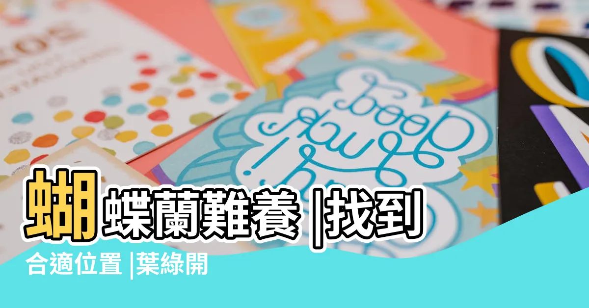 【蝴蝶蘭擺放位置】蝴蝶蘭難養 |找到合適位置 |葉綠開花棒 |