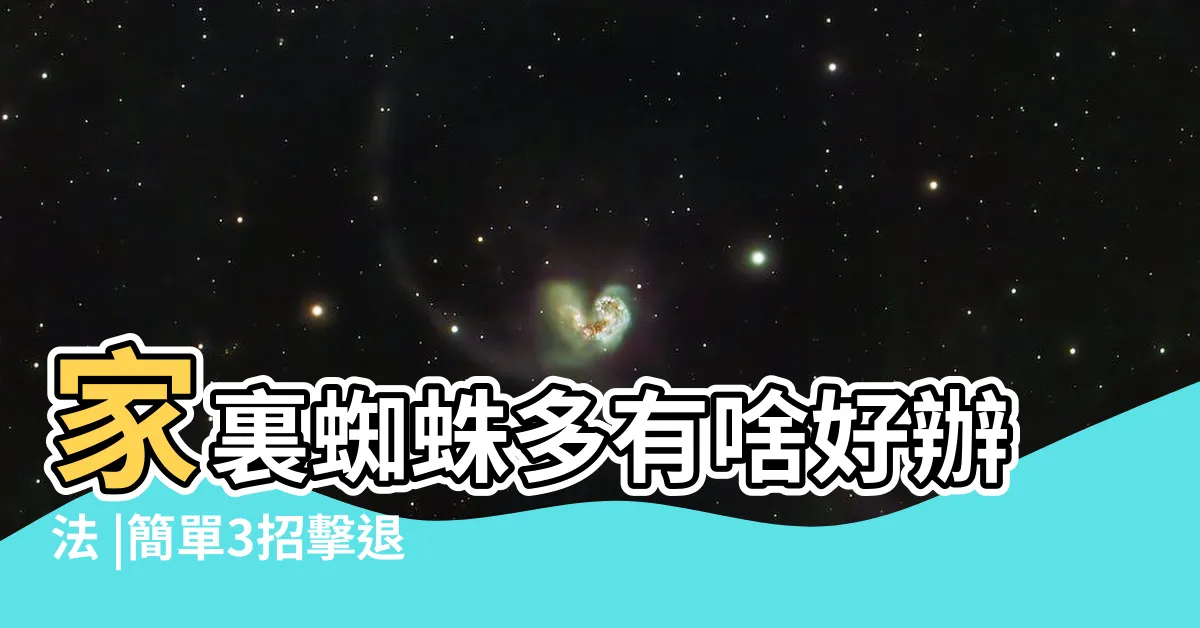 【蜘蛛多】家裏蜘蛛多有啥好辦法 |簡單3招擊退蜘蛛 |蜘蛛室友麥擱來 |