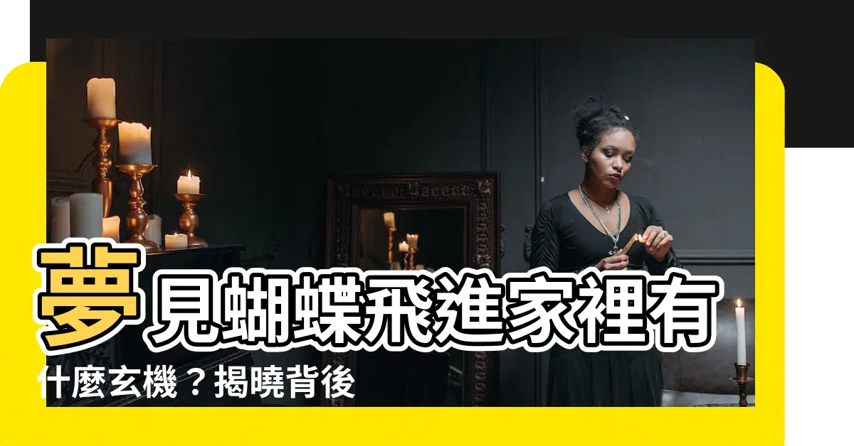 【夢見蝴蝶飛進家裡】夢見蝴蝶飛進家裡有什麼玄機？揭曉背後的吉凶徵兆