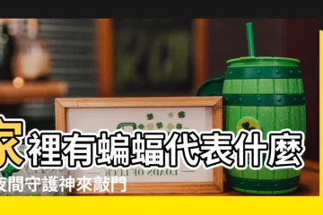 【家裡有蝙蝠代表什麼】家裡有蝙蝠代表什麼？夜間守護神來敲門，快做好準備