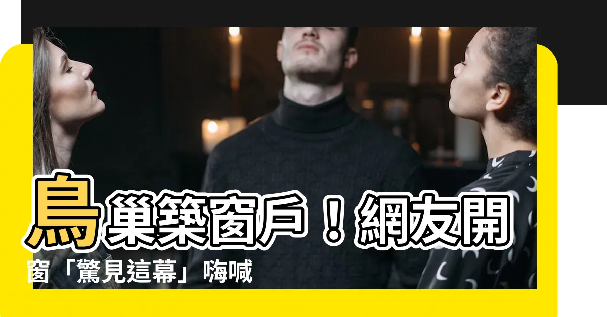 【窗户鳥巢】鳥巢築窗户！網友開窗「驚見這幕」嗨喊：發財徵兆