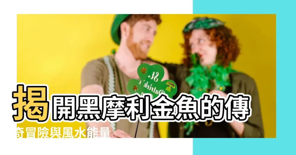 【黑摩利金魚】揭開黑摩利金魚的傳奇冒險與風水能量