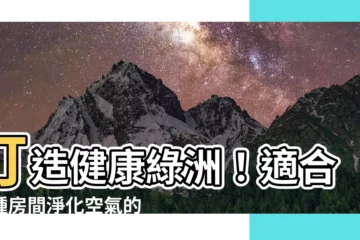 【房間適合的植物】打造健康綠洲！適合各種房間淨化空氣的17款室內植物推薦