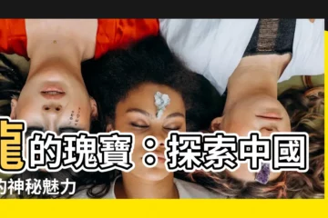 【龍 中國】龍的瑰寶：探索中國龍的神秘魅力