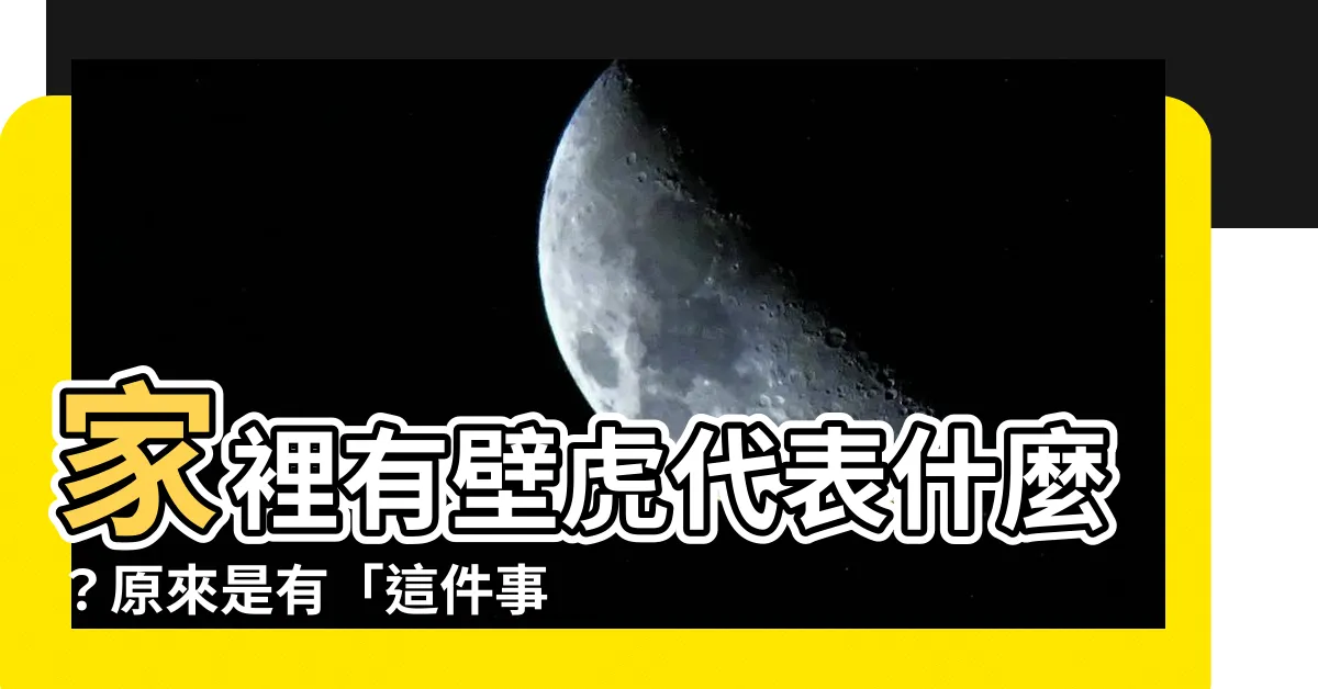 【家裡有壁虎代表】家裡有壁虎代表什麼？原來是有「這件事」發生了！