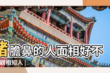 【豬鼻子的運氣】豬膽鼻的人面相好不好 |觀相知人 |面相看哪些人守不住家業 |