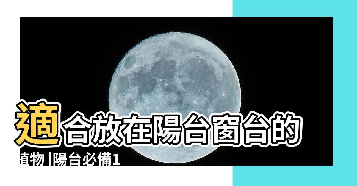【適合陽台的植物花】適合放在陽台窗台的植物 |陽台必備10種花草全年開花不間斷 |8種好養花卉打造陽台精緻小花園 |