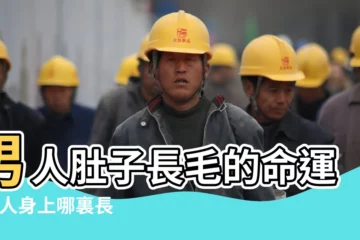 【男人肚子長毛的命運】男人肚子長毛的命運 |男人身上哪裏長毛大富大貴肚子長毛 |男人肚子長毛的命運 |