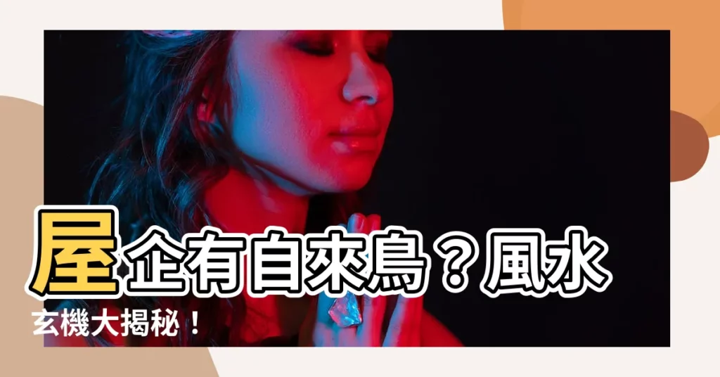 【自來鳥】屋企有自來鳥？風水玄機大揭秘！