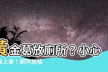 【黃金葛可以放廁所嗎】黃金葛放廁所？小心惹禍上身！廁所放植物大全，避免官司纏身