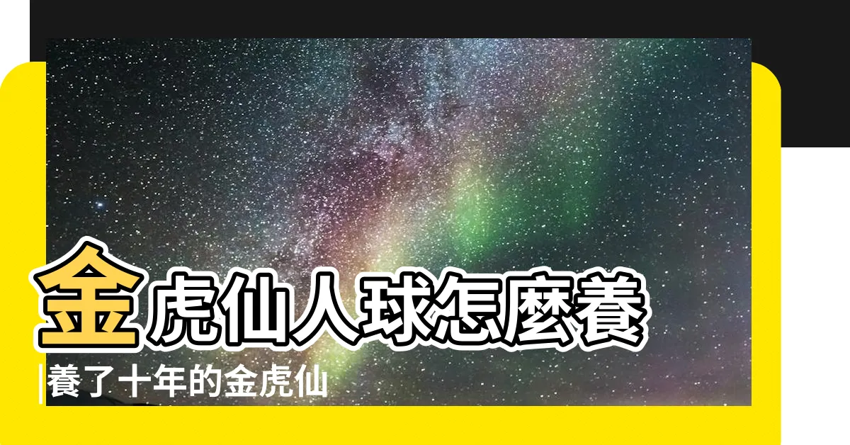 【金虎仙人掌】金虎仙人球怎麼養 |養了十年的金虎仙人球 |分享金虎仙人球的養護經驗 |