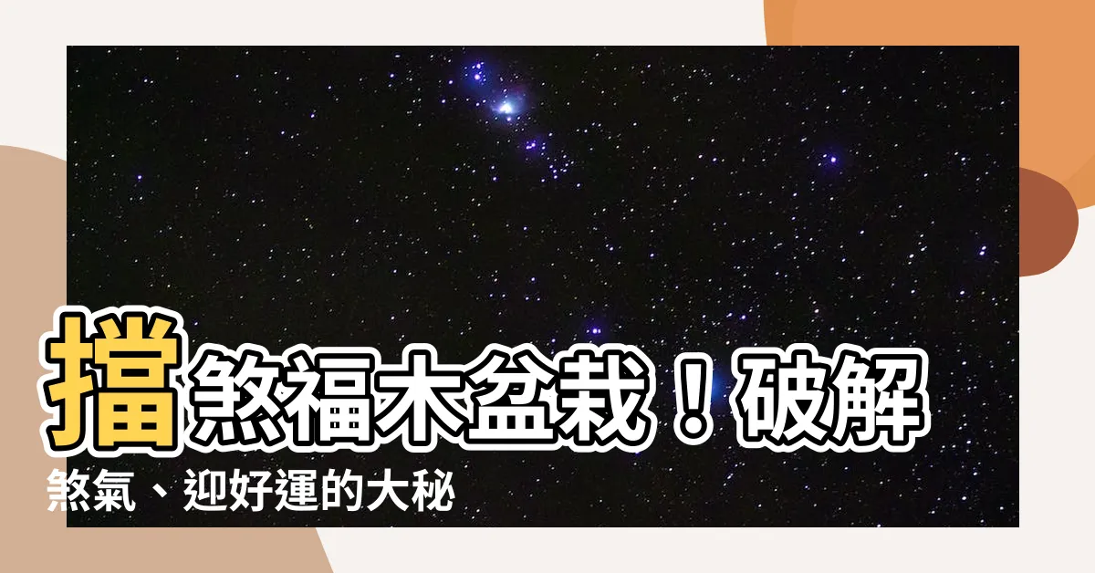 【擋煞福木風水】擋煞福木盆栽！破解煞氣、迎好運的大秘訣