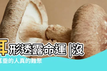 【沒有耳朵大沒有耳垂】耳形透露命運 |沒有耳垂的人真的難聚財嗎 |沒有耳垂的人沒有福氣嗎 |