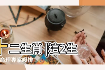 【最下人的是什麼生肖】十二生肖 |這2生肖 |命理專家曝排行過去總統 |