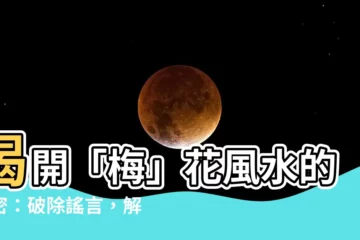 【梅 風水】揭開「梅」花風水的秘密:破除謠言,解開三角梅的吉凶之謎
