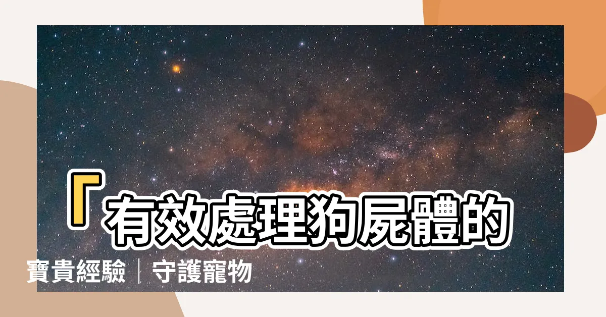【狗屍體】「有效處理狗屍體的寶貴經驗｜守護寵物的尊嚴與回憶」