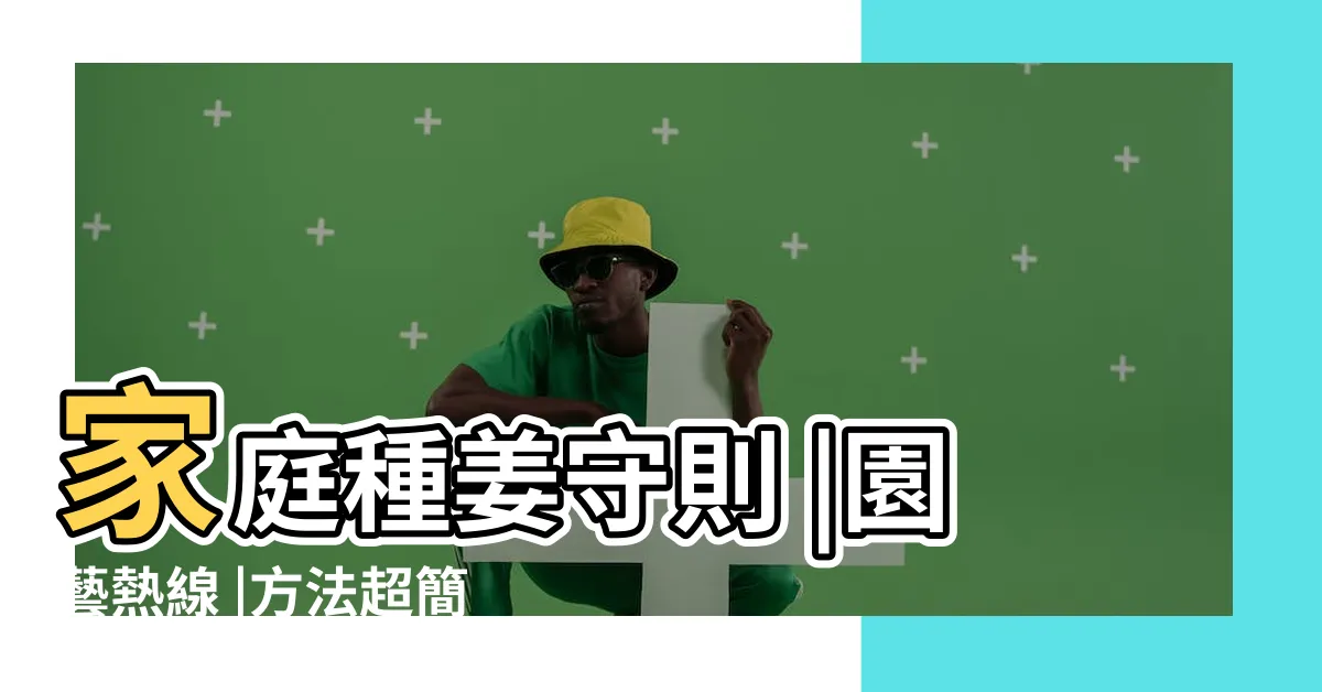【薑發芽可以種】家庭種姜守則 |園藝熱線 |方法超簡單 |