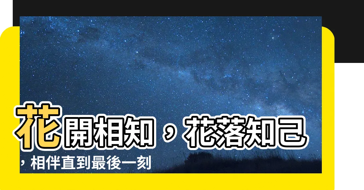 【花落相知】花開相知，花落知己，相伴直到最後一刻