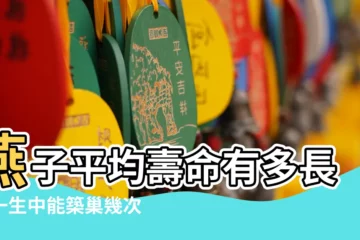 【燕子的壽命有多長】燕子平均壽命有多長？一生中能築巢幾次？