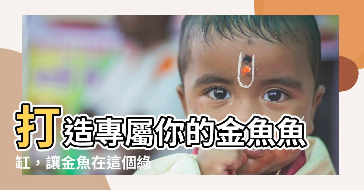 【金魚魚缸】打造專屬你的金魚魚缸，讓金魚在這個綠色生態缸中舞動