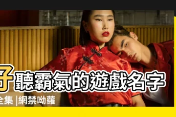 【帶邪惡的遊戲名字大全集】好聽霸氣的遊戲名字大全集 |網禁呦蘿網站 |最新幽默的遊戲名字 |