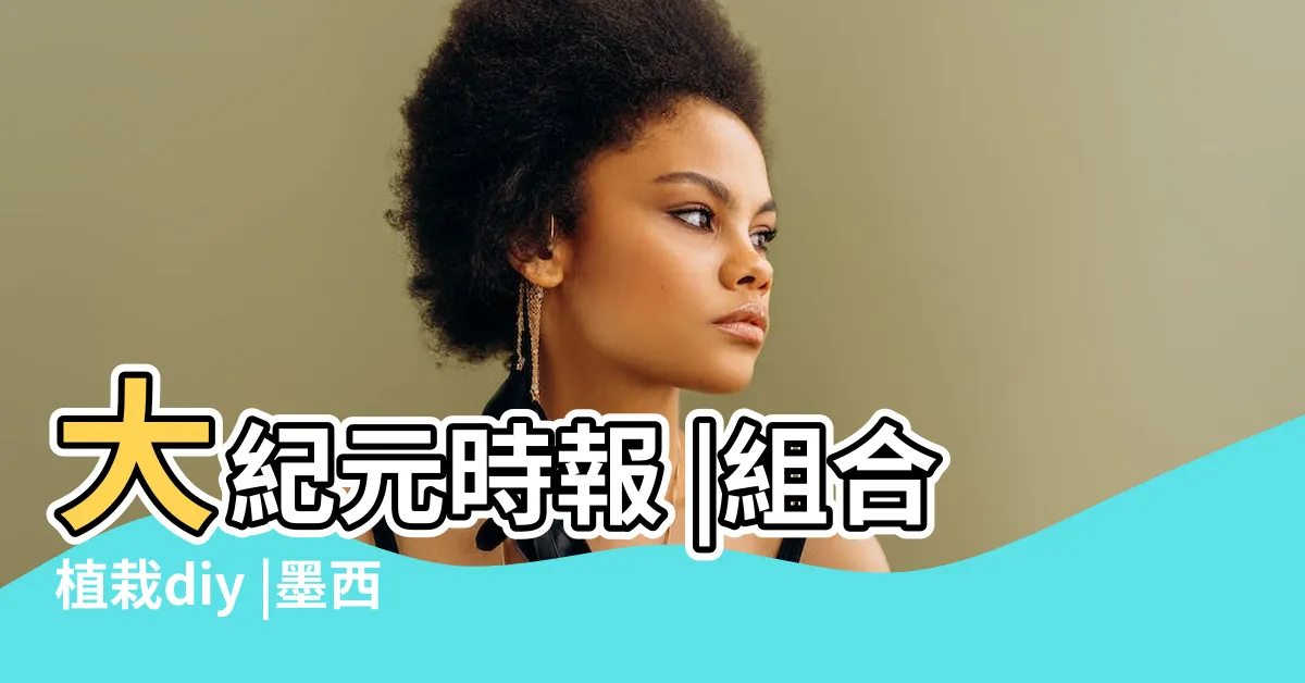 【墨西哥鐵樹】大紀元時報 |組合植栽diy |墨西哥鐵樹多層次陶盆 |