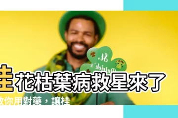 【桂花枯葉病用藥】桂花枯葉病救星來了！教你用對藥，讓桂花葉片不再乾枯