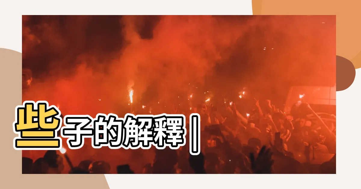 【些子】些子的解釋 |