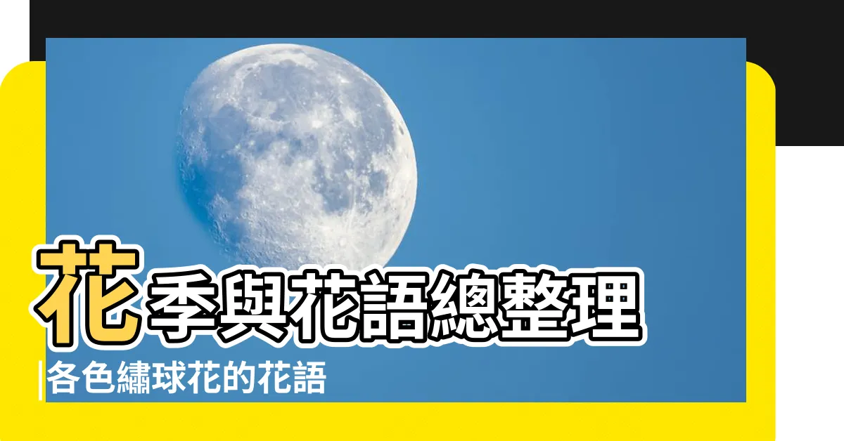 【繍球花花語】花季與花語總整理 |各色繡球花的花語介紹 |不同顏色含義大不同 |