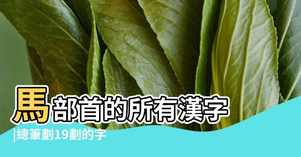馬部首的所有漢字 |總筆劃19劃的字 |康熙字典 |【19劃的繁體康熙字典老黃曆】