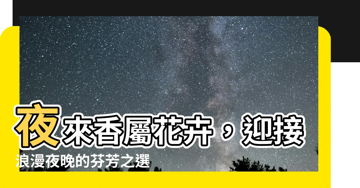 【夜來香屬】夜來香屬花卉，迎接浪漫夜晚的芬芳之選
