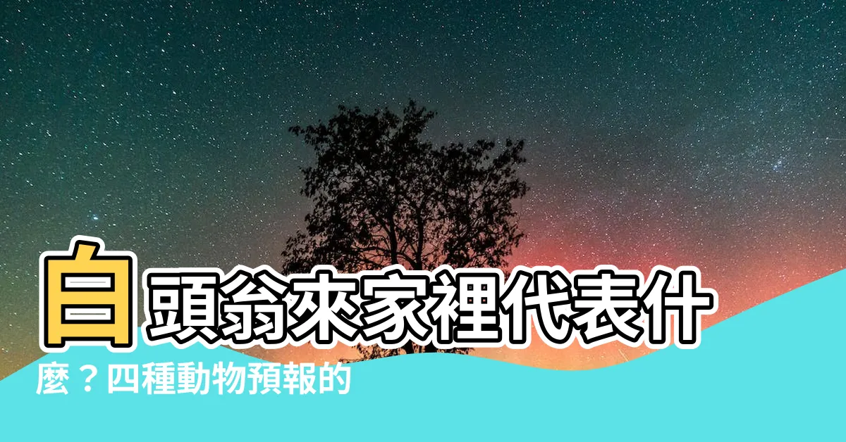 【白頭翁來家裡代表什麼】白頭翁來家裡代表什麼？四種動物預報的意義驚人！觀察周記(上)