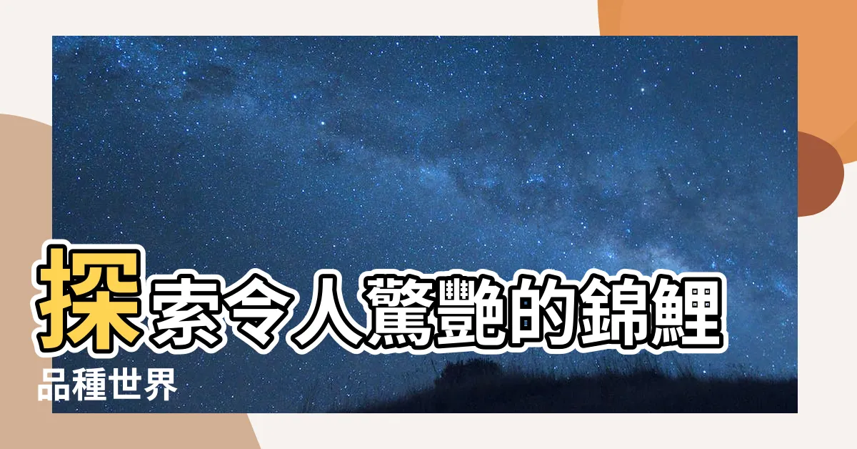 【錦鯉品種】探索令人驚艷的錦鯉品種世界