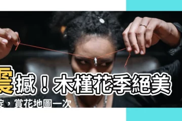 【木槿花】震撼！木槿花季絕美盛綻，賞花地圖一次掌握