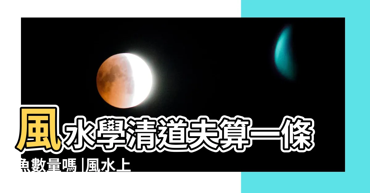 【垃圾魚算風水魚嗎】風水學清道夫算一條魚數量嗎 |風水上清道夫算魚嗎 |養魚數量清道夫算嗎 |