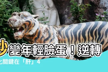 【提升陽氣】秒變年輕臉蛋！逆轉老化關鍵在「肝」4大養生絕招