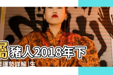 【屬豬的2018年健康運勢】屬豬人2018年下半年運勢詳解 |生肖屬相 |2018年生肖 |