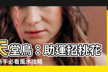【天堂鳥 風水】天堂鳥：助運招桃花，新手必看風水攻略指南！
