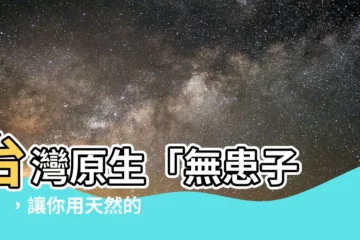 【無患子 樹】台灣原生「無患子 樹」，讓你用天然的方式達到無患之好