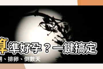 【算日子】算準好孕？一鍵搞定孕期、排卵、倒數天數