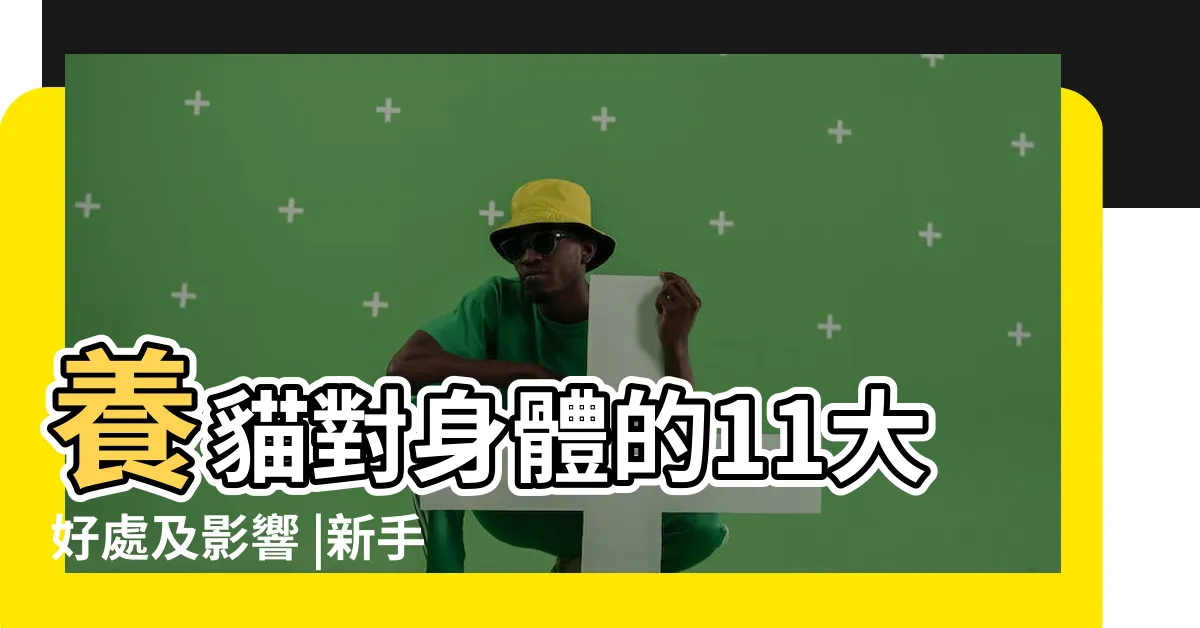 【養貓因果】養貓對身體的11大好處及影響 |新手養貓注意事項 |壞處3分鐘看完 |