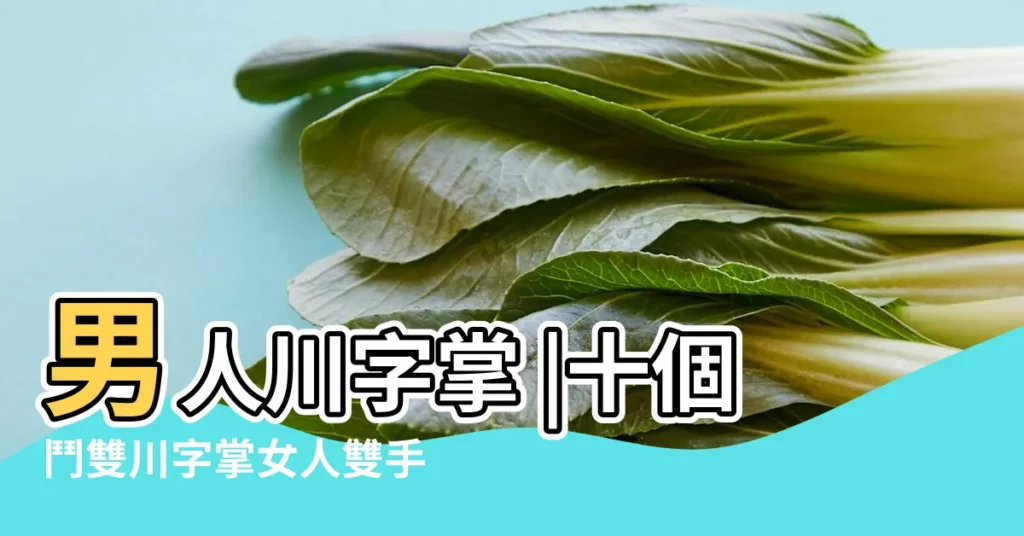 男人川字掌 |十個鬥雙川字掌女人雙手川字掌女人旺夫 |我們雙手都是川字掌 |【男生川字掌十個鬥代表什麼】