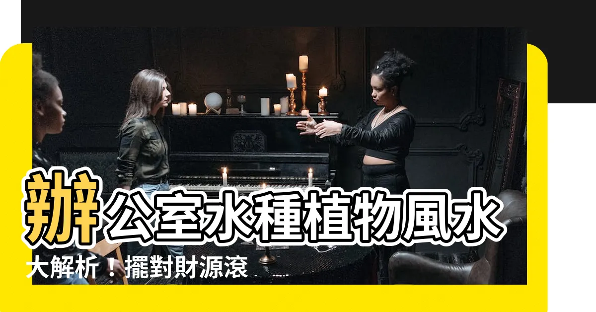 【辦公室水種植物風水】辦公室水種植物風水大解析！擺對財源滾滾、小人遠離