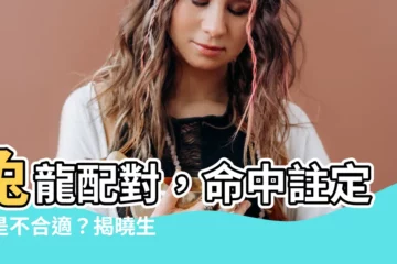 【兔龍配對】兔龍配對，命中註定還是不合適？揭曉生肖六沖真相