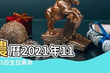 【測八字農曆11月13】農曆2021年11月13日生日算命 |2021年11月13日出生時間看命運 |出生日期2022年11月13日測命運 |