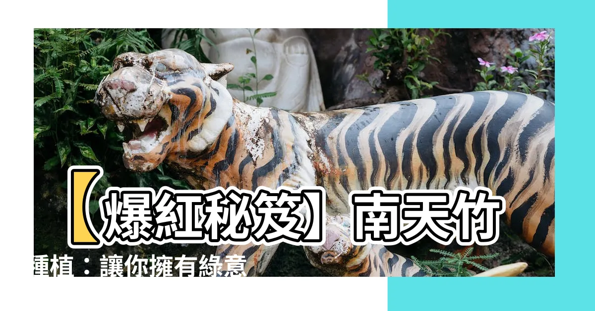 【南天竹種植】【爆紅秘笈】南天竹種植：讓你擁有綠意盎然的生活天堂！