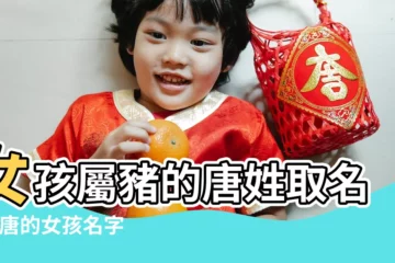 【起名姓唐女孩屬豬】女孩屬豬的唐姓取名 |姓唐的女孩名字大全2019屬豬唐姓豬寶寶如何取名 |唐姓女孩取名大全2019屬豬 |