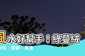 【綠蔓絨 風水】風水好幫手！綠蔓絨報你知：照顧、寓意、擺放位置