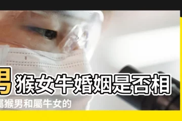 【女屬牛男屬猴的合不合】男猴女牛婚姻是否相配屬猴男和屬牛女的婚姻如何 |屬牛女與屬猴男 |生肖屬牛和屬猴的合不合相合配對指數 |