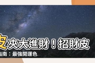 【招財皮包】皮夾大進財！招財皮包指南：最強開運色&避開敗財雷區